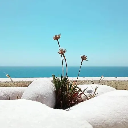Ti Neves - Appartement *
