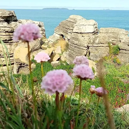 Appartement Ti Neves - Peniche